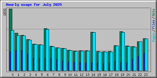 Hourly usage for July 2025