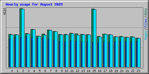 Hourly usage for August 2025
