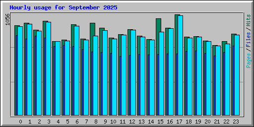 Hourly usage for September 2025